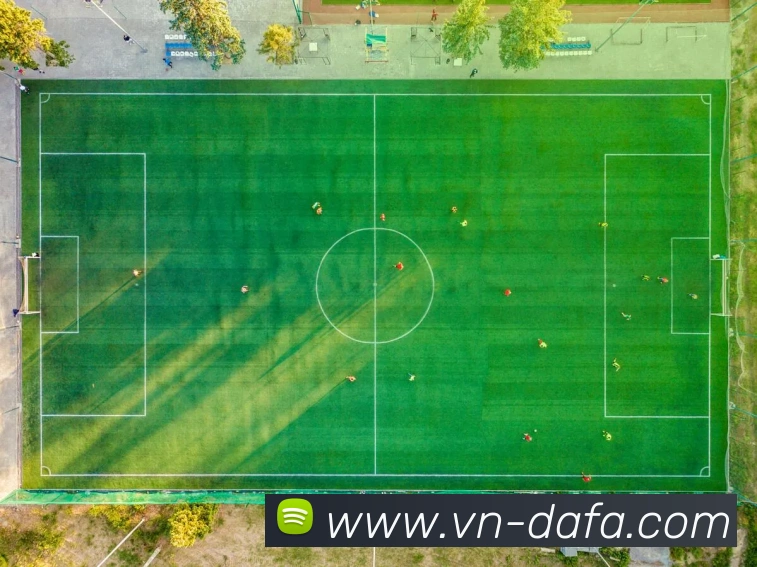 大发彩票平台生态图